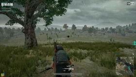 吃鸡吃瓜直播在哪看啊,吃鸡吃瓜，精彩内容一网打尽