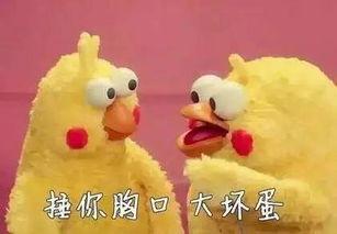 大忽悠吃瓜,揭秘娱乐圈幕后真相