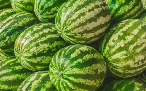 福州 吃瓜,吃瓜群众的欢乐时光