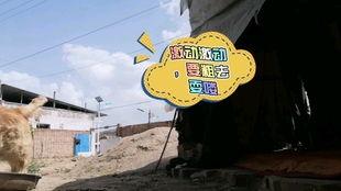 蓝毛吃贝贝瓜视频,趣味视频引网友热议